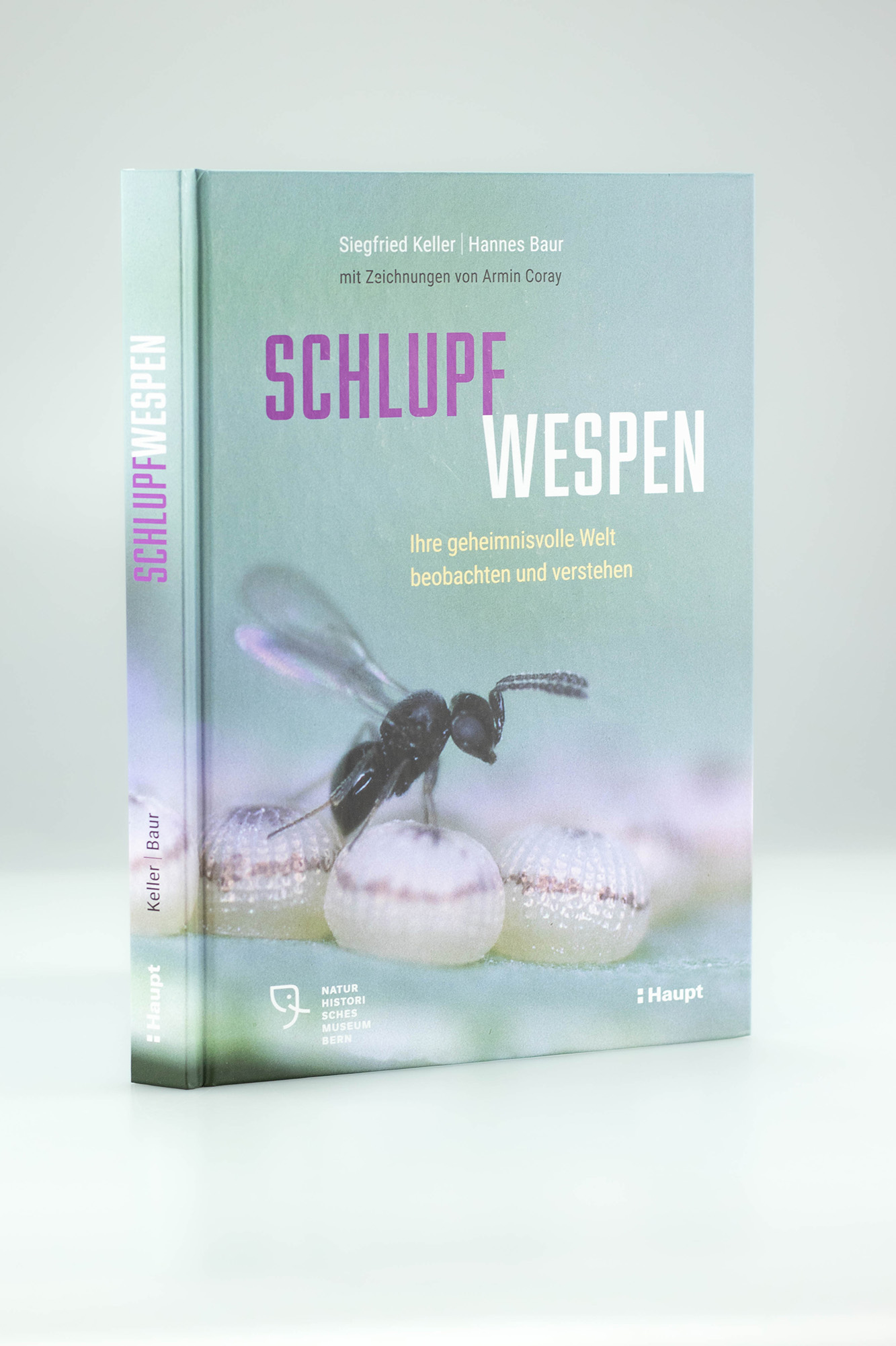 SCHLUPF WESPEN