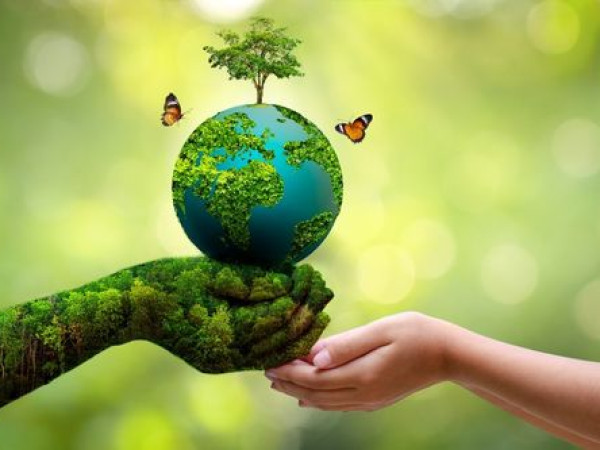We have obtained another ecological certification